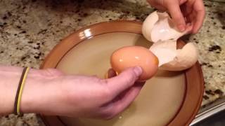 Chicken lays a Giant Egg with a surprise inside.