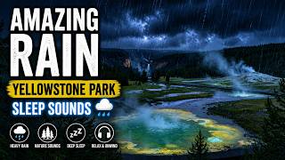 Yellowstone Rain Sounds for Deep Sleep &amp; Relaxation | Night Nature Ambience No Music #rain #sleep