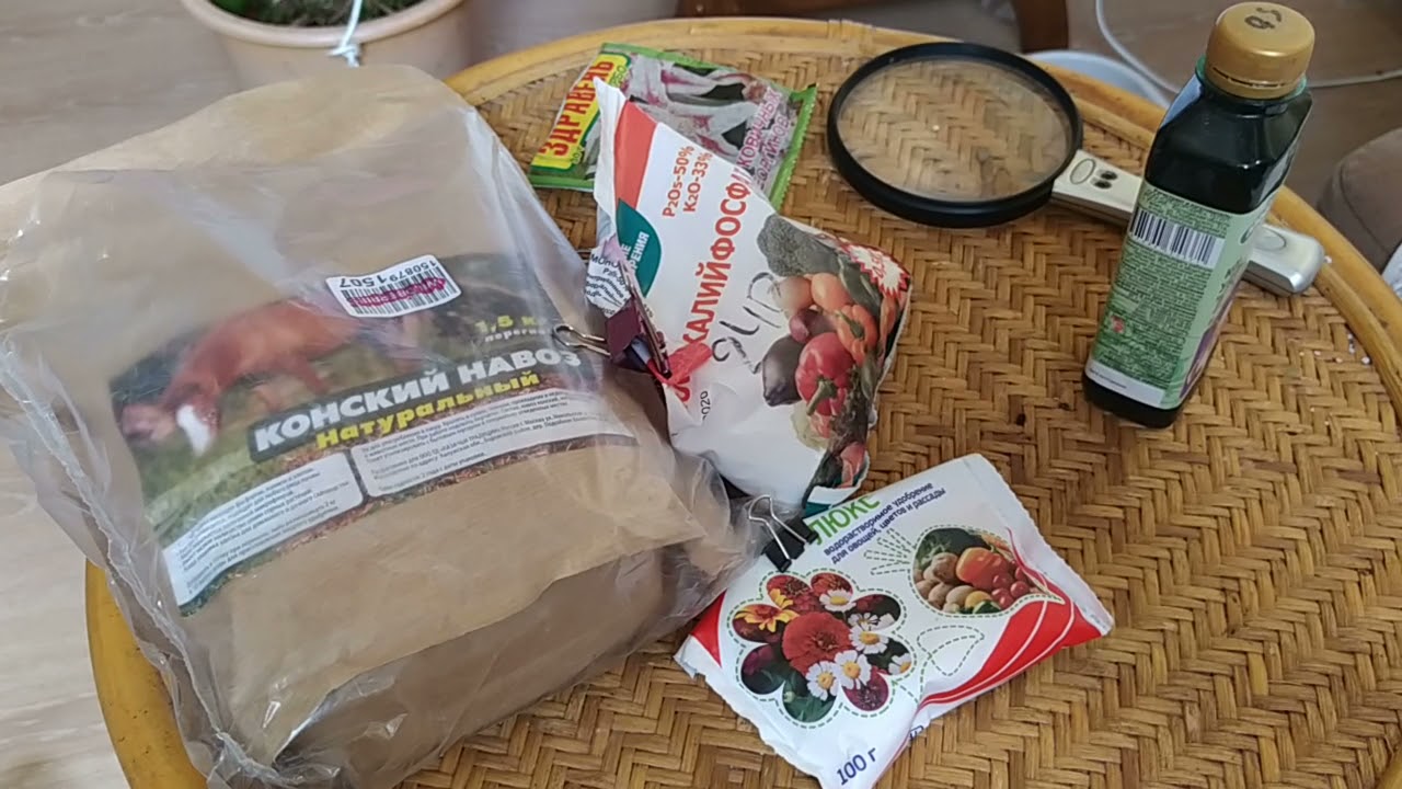 Гиппеаструмы. Подкормки во время роста.