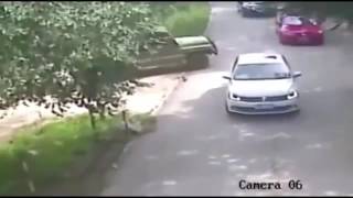 В сафари парке на женщину напал тигр. Женщина погибла. В сафари парке на женщину напал тигр. Женщина погибла.