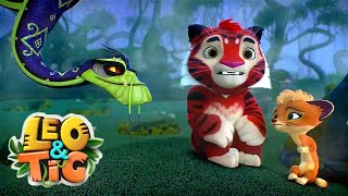 Leo and Tig 🦁 Autumn in Taiga 🐯 All episodes in row 🦁 Funny Family Good Animated Cartoon for Kids