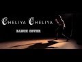 Cheliya Cheliya || Nenu Rowdy Ne || Dance Cover