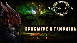 Прохождение The Elder Scrolls Online (TES Online) - Прибытие в Тамриэль #1 Прохождение The Elder Scrolls Online (TES Online) - Прибытие в Тамриэль #1
