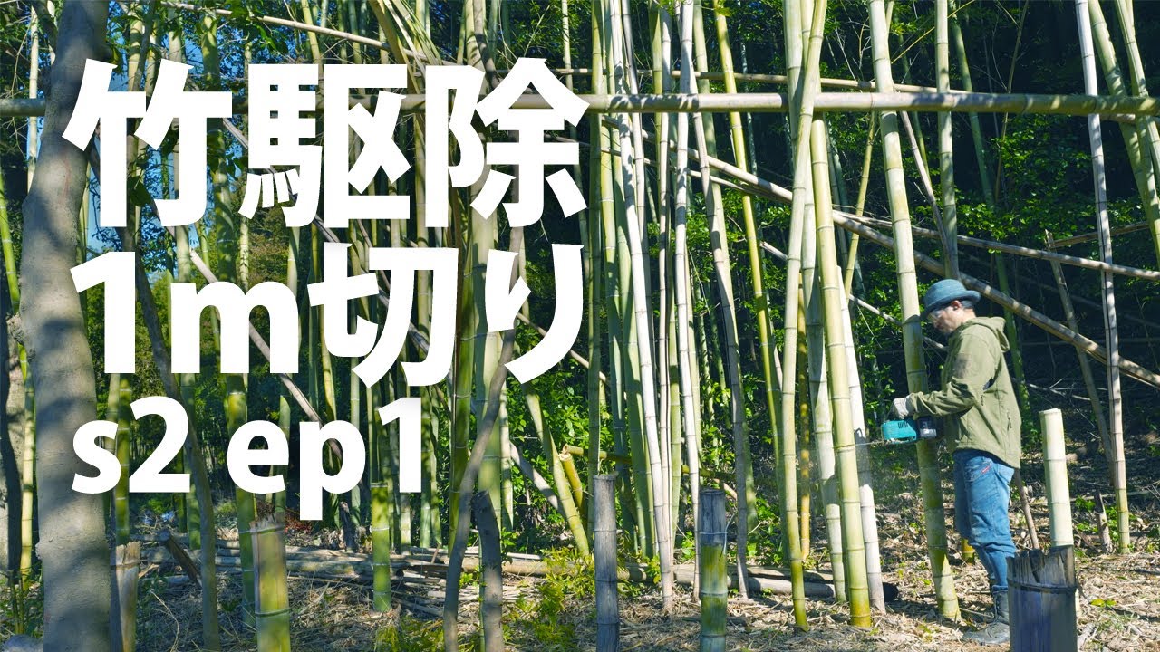 竹切ります。(無料より) maxresdefault.jpg