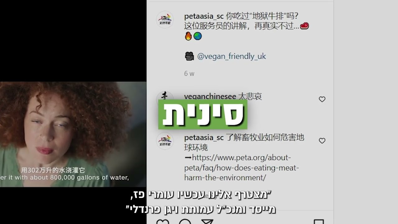 פרסומת "סטייק סוף העולם" עושה היסטוריה!