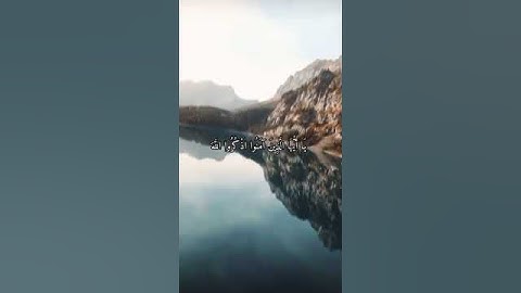 واتس اب قران كريم القارئ ياسر دوسري سوره الأحزاب #quran_karim_قران_الكريم