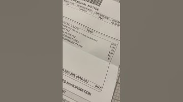 Are Personalized Plates Worth It?