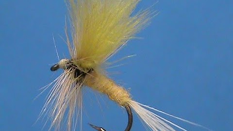 Beginner Fly Tying a Yellow Cahill Wolf with Jim Misiura