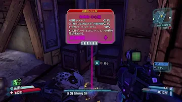 ボーダーランズ2 Llm マラソン