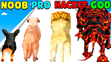 NOOB vs PRO vs HACKER vs GOD in Dog Evolution Run