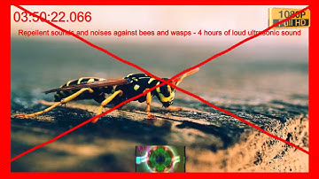 Repellent sounds and noises against bees and wasps - 4 hours of loud ultrasonic sound