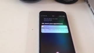Infinite loop conversation Siri, Alexa and Google Home