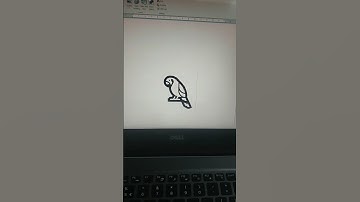 PARROT 🦜 MS Word Symbol Shortcut Key #shorts #shortvideo #short #computer #tipsandtricks #keyboard