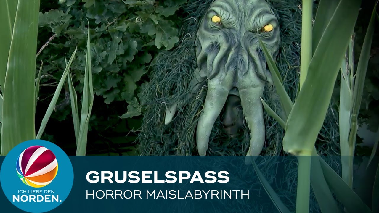 Grusel-Spaß im Horror Maislabyrinth bei Kiel