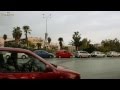 A minute of Greece: Streets of Thessaloniki,Palms
