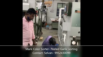 Peeled Garlic sorting - Mark Color sorter