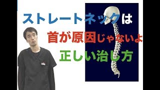 ストレートネックは首が原因じゃないよ。正しい治し方のストレッチと矯正｜兵庫県西宮ひこばえ整骨院整体