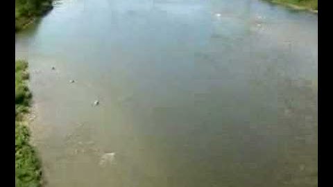 Lorne Bridge sept 708 plume noted