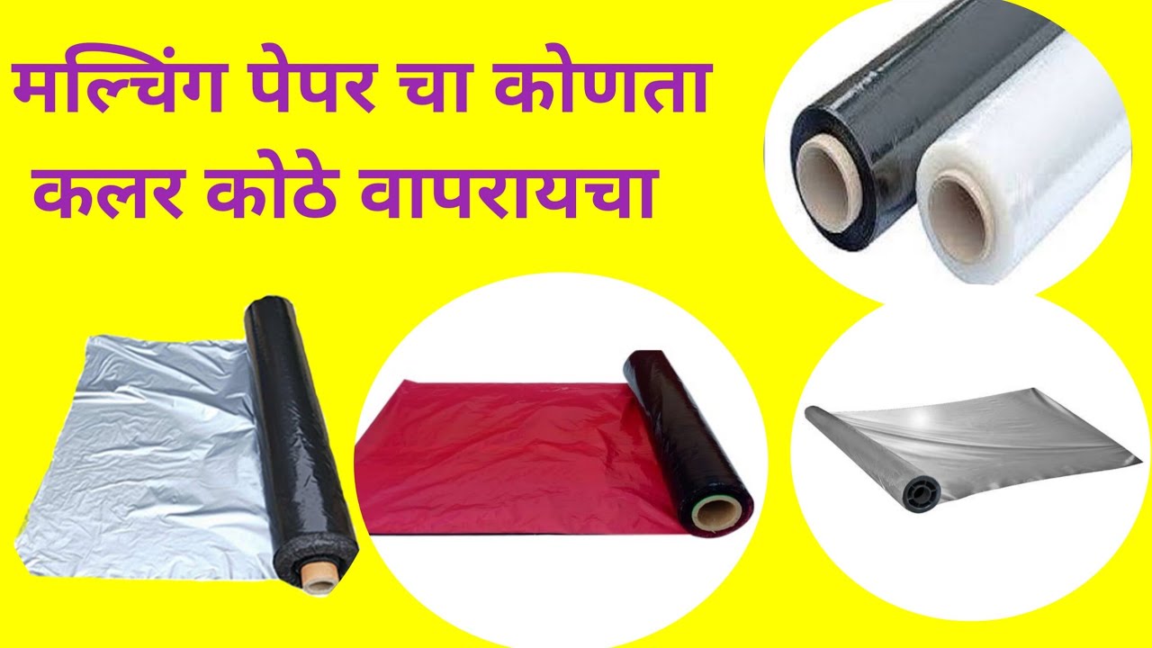मल्चिंग पेपरचा कोणता कलर कुठे वापरतात , व उपयोग करण्याचे फायदे Mulching Paper use for Agriculture