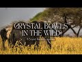 Sound Healing to Connect to Nature | Crystal Singing Bowls