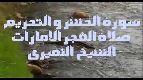 سورة الحشر و التحريم صلاة الفجر الإمارات. الشيخ النميري1437/10/13