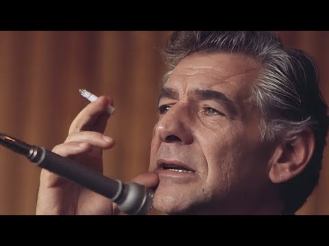 Leonard Bernstein Reflections