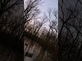 Arkansas green timber duck hunting