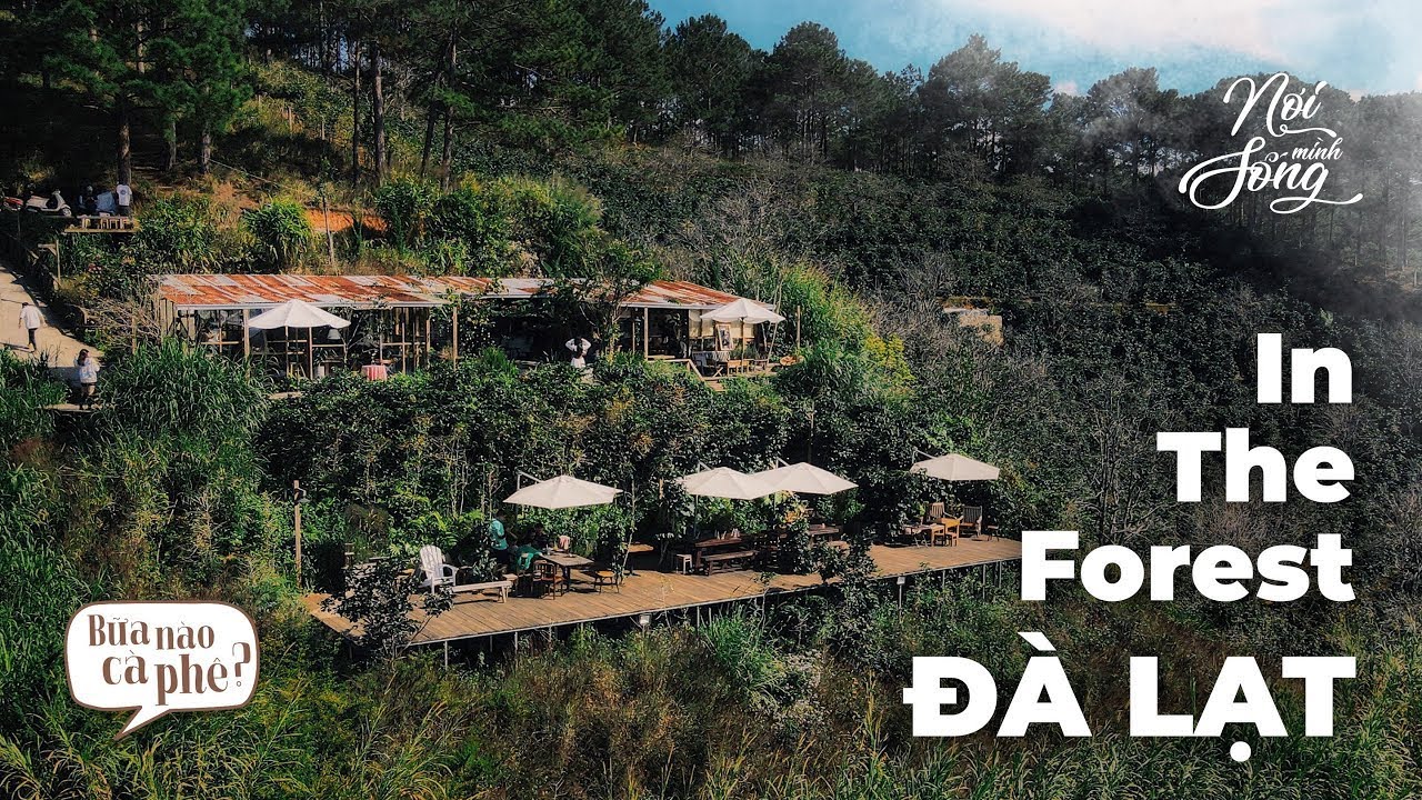 gác hoa attic café Update Tiệm Cà Phê ẩn mình giữa Thung Lũng Vườn Hồng | In The Forest Đà Lạt | Bữa nào cà phê?