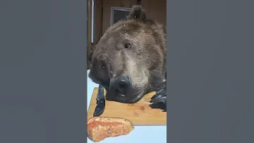 Домашнее общение))