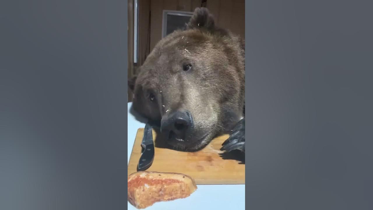 Домашнее общение)) - YouTube