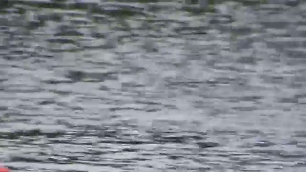 Aeromarine Predator with 11cc motor