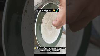 Pepper Runs Away! 🫧🧪 Cool Soap Science Trick #Shorts #experiment #kidsfun #science