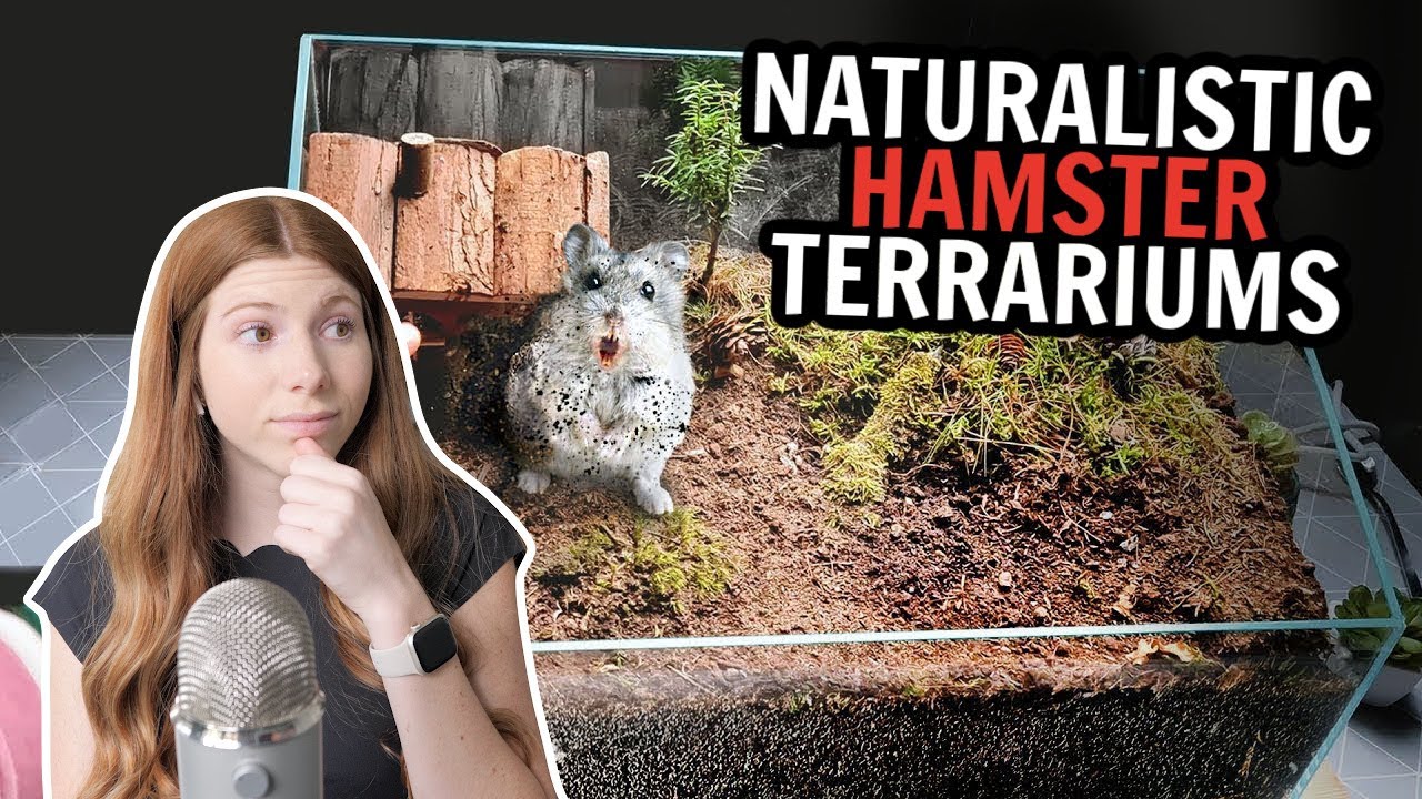 Slagter diakritisk Uretfærdighed My THOUGHTS on Naturalistic Hamster Terrariums - YouTube