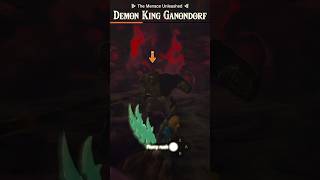 Did You Know That Ganondorf Can Flurry Rush?