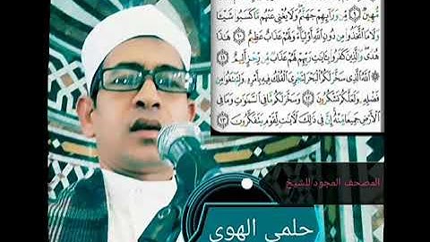 الشيخ حلمي الهوي سورة الجاثية مجودة