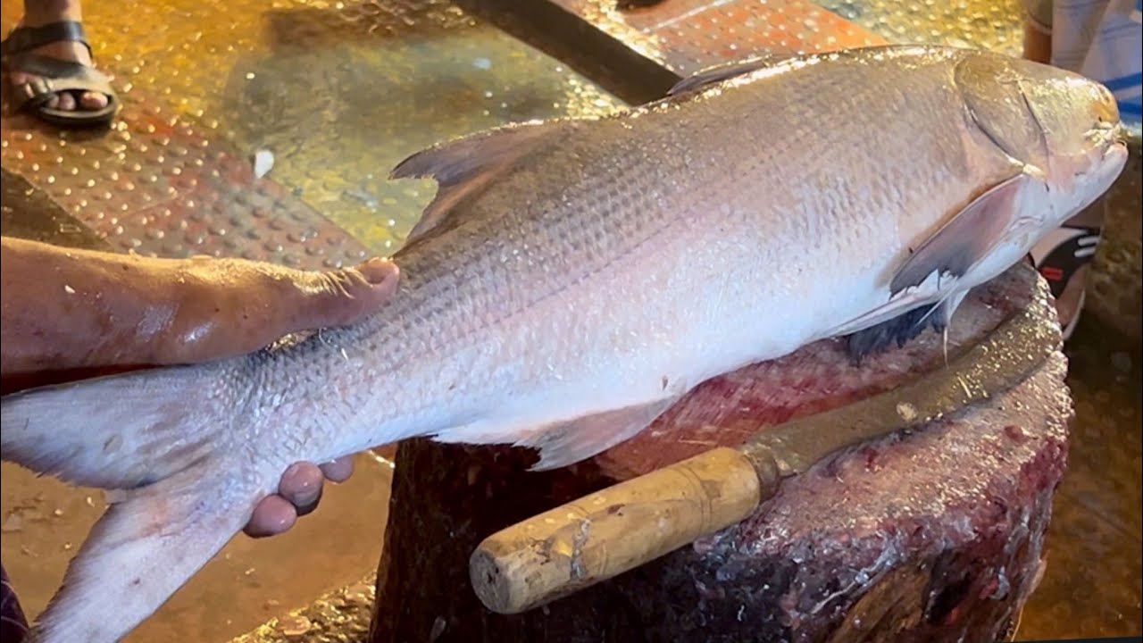 BIG RAWAS FISH CUTTING SKILLS In Fish Market | Amazing Fish Fish ...