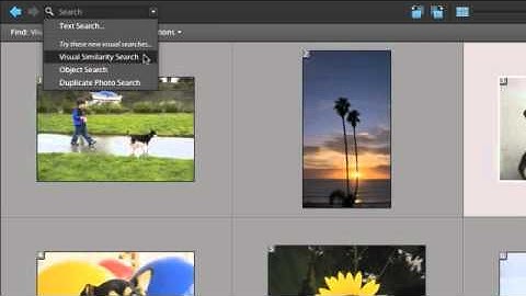 Photoshop Elements 10: Quickly Find The Photos You Want