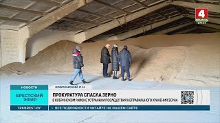 ПРОКУРАТУРА СПАСЛА ЗЕРНО
