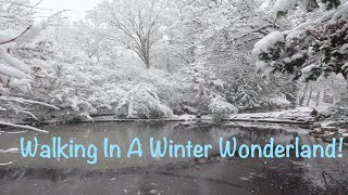 Walking In A Winter Wonderland! Ashland, OR