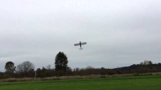 E-Flite Carbon-Z Cub 3D Flight Demo