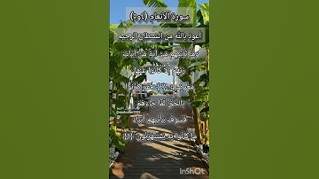 سورة الأنعام الآية ٤و ٥