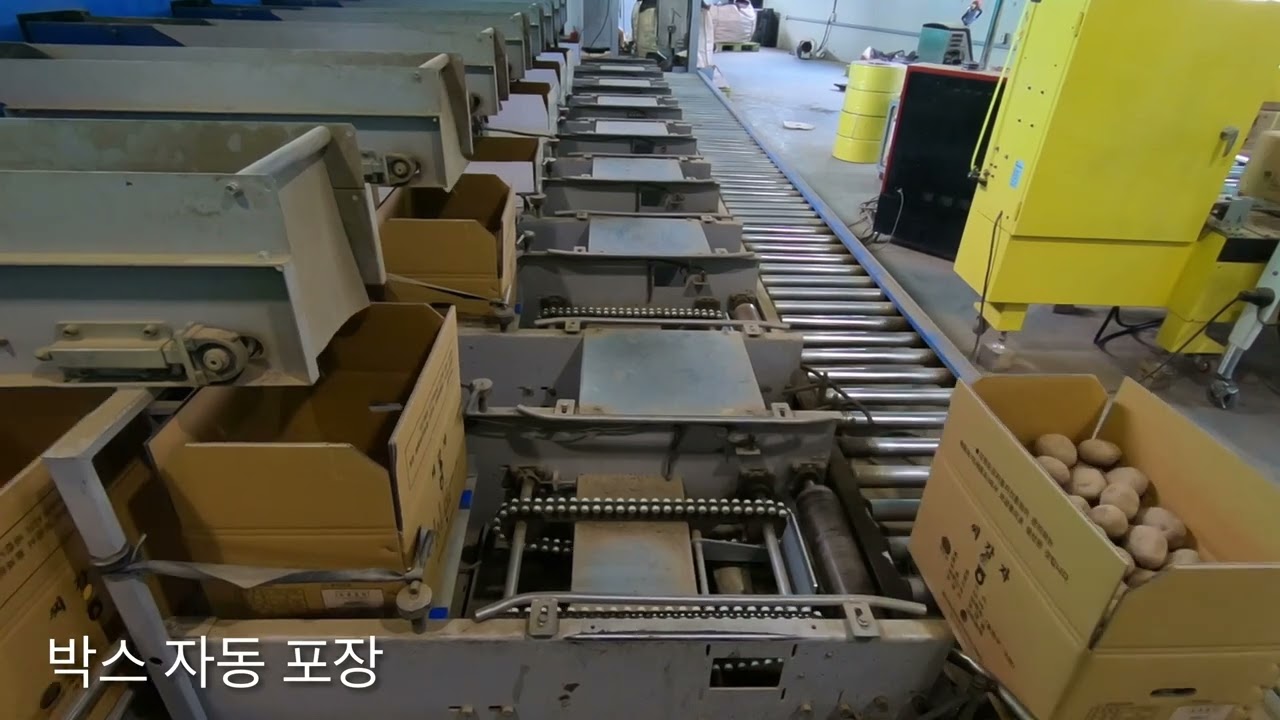홍천 내면농협 캐리어 감자 선별라인