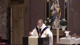 Divine Mercy and Confession - Homily from 4/11/2021