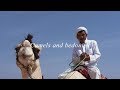 Camels And Bedouins