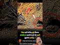 #motivation #animals #youtube #cat 🐱#rat 🐀🐀#shorts #funny #video #viral #edit #help