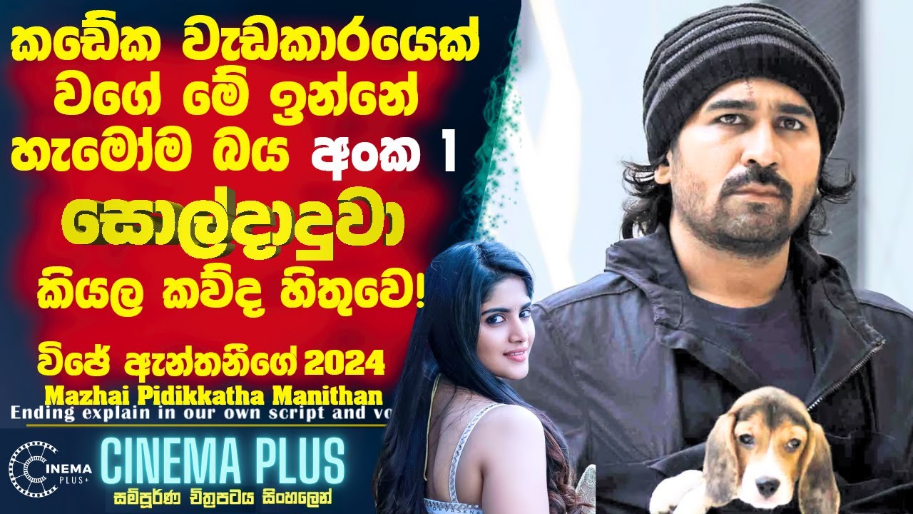 කඩේක වැඩකාරයෙක් වගේ මේ ඉන්නෙ🔴 හැමෝම බය අංක එකේ සොල්දාදුවා කියල කව්ද හිතුවෙ! Cinema Plus Sinhala