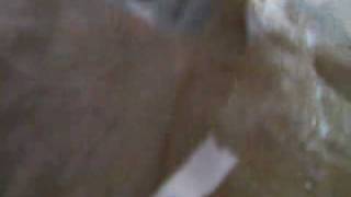 Package 14/9/2009