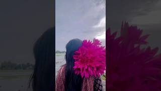 শাপলার বিল blog😱 💐 #blog#trending #shorts#ytshorts#viralvideo #love#flowers#bts#subscribe#bangladesh