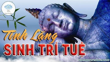 Sông Sâu Tĩnh Lặng, Người Càng Tĩnh Tâm Thì Trí Tuệ Càng Cao Và Tầm Nhìn Càng Xa - Thanh Tịnh Đạo