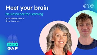 Neuroscience For Learning - Meet Your Brain